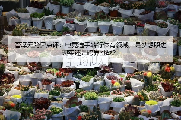 管泽元跨界点评：电竞选手转行体育领域，是梦想照进现实还是跨界挑战？