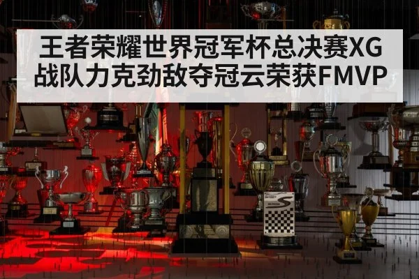 王者荣耀世界冠军杯总决赛XG战队力克劲敌夺冠云荣获FMVP